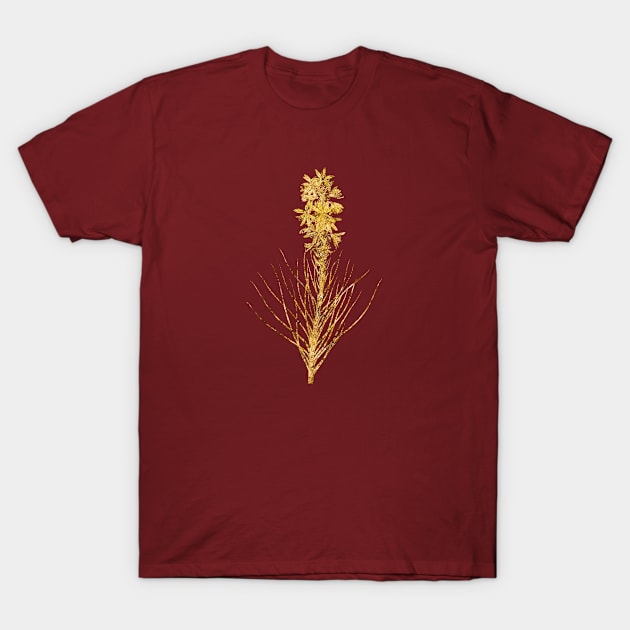 Vintage Gilded Yellow Asphodel Botanical Gold Leaf T-Shirt by Holy Rock Design